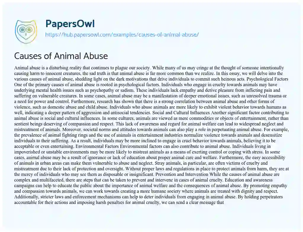Essay on Causes of Animal Abuse