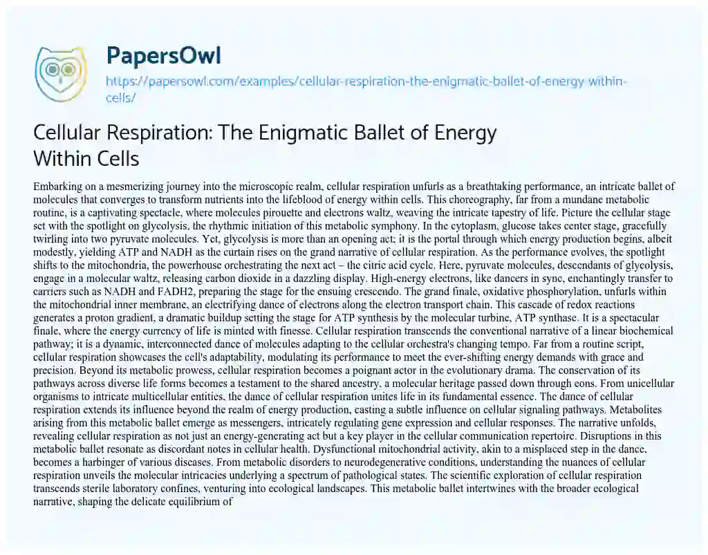 Essay on Cellular Respiration: The Enigmatic Ballet of Energy Within Cells