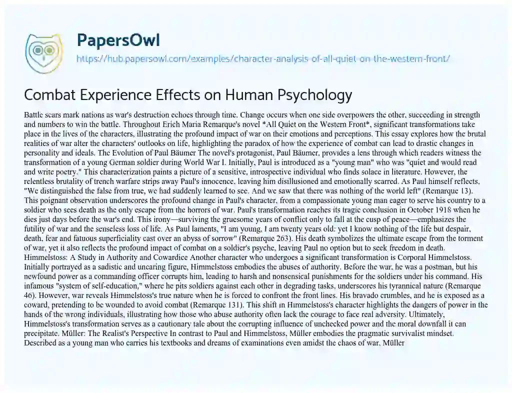 Essay on Combat Experience Effects on Human Psychology