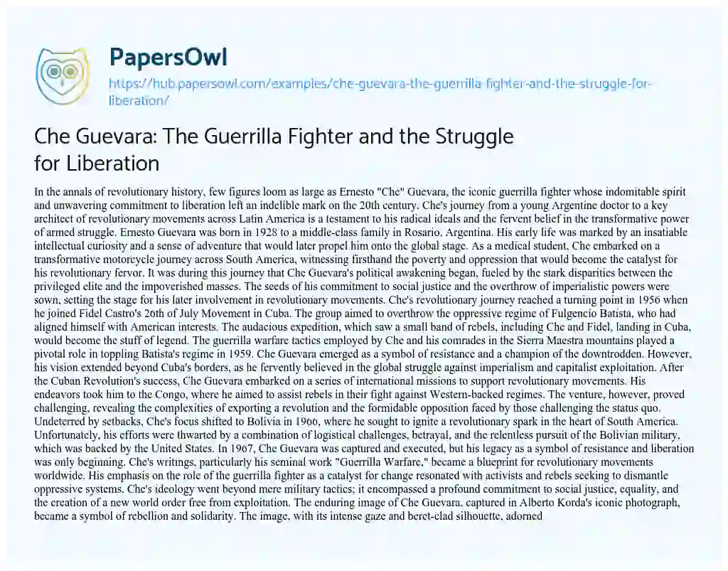Essay on Che Guevara: The Guerrilla Fighter and the Struggle for Liberation