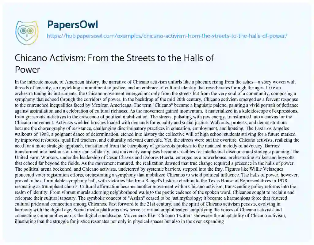 Essay on Chicano Activism: From the Streets to the Halls of Power
