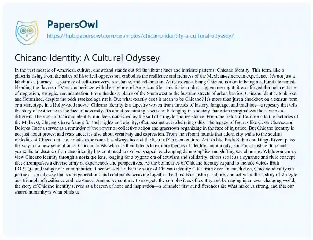 Essay on Chicano Identity: A Cultural Odyssey