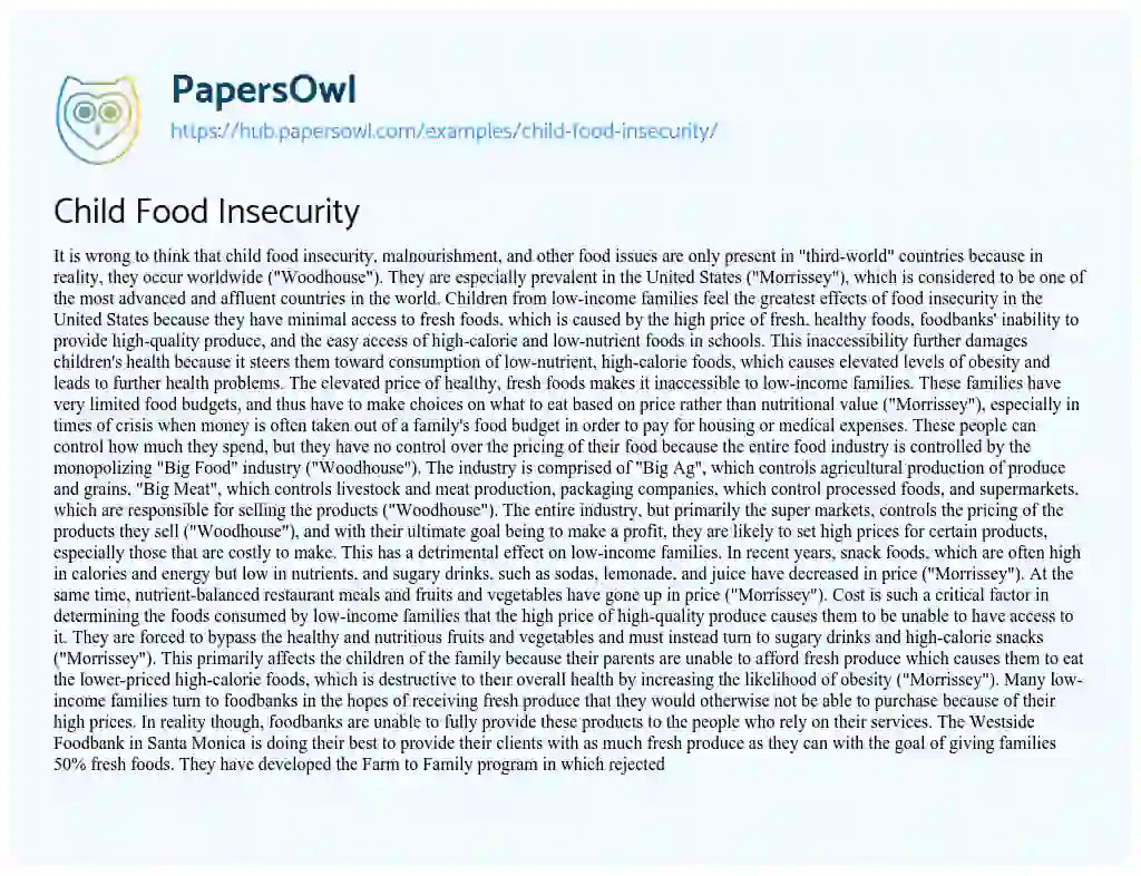 Essay on Child Food Insecurity