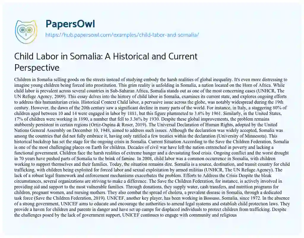 Essay on Child Labor in Somalia: A Historical and Current Perspective