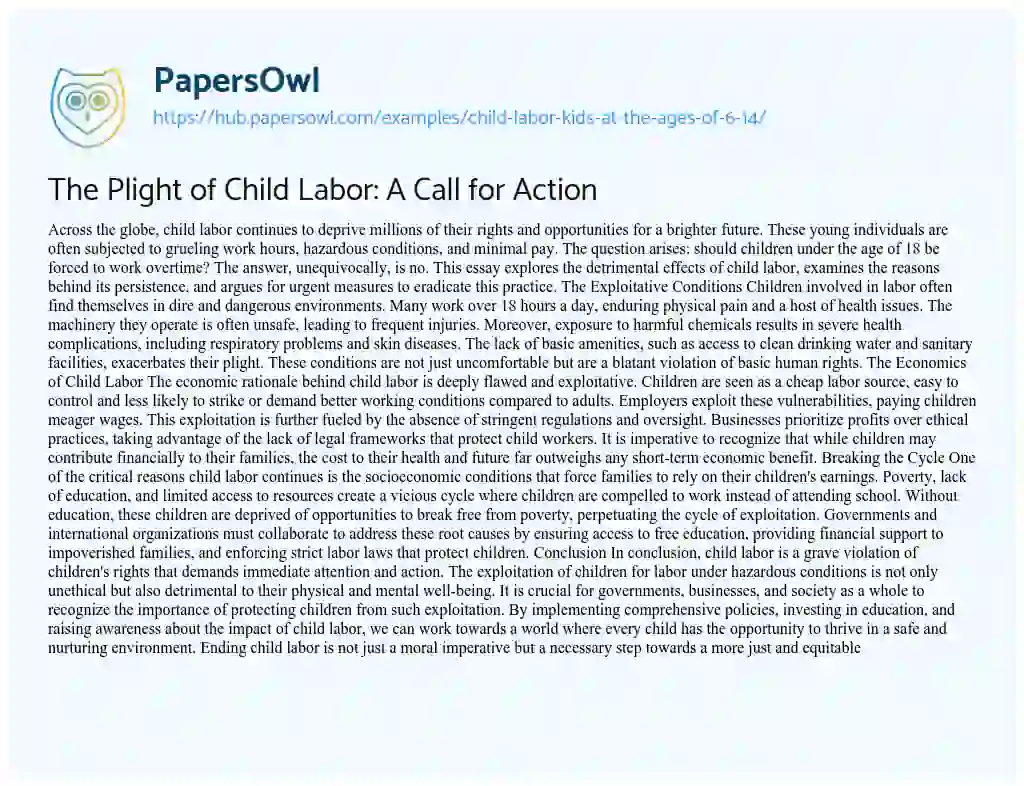 Essay on The Plight of Child Labor: A Call for Action