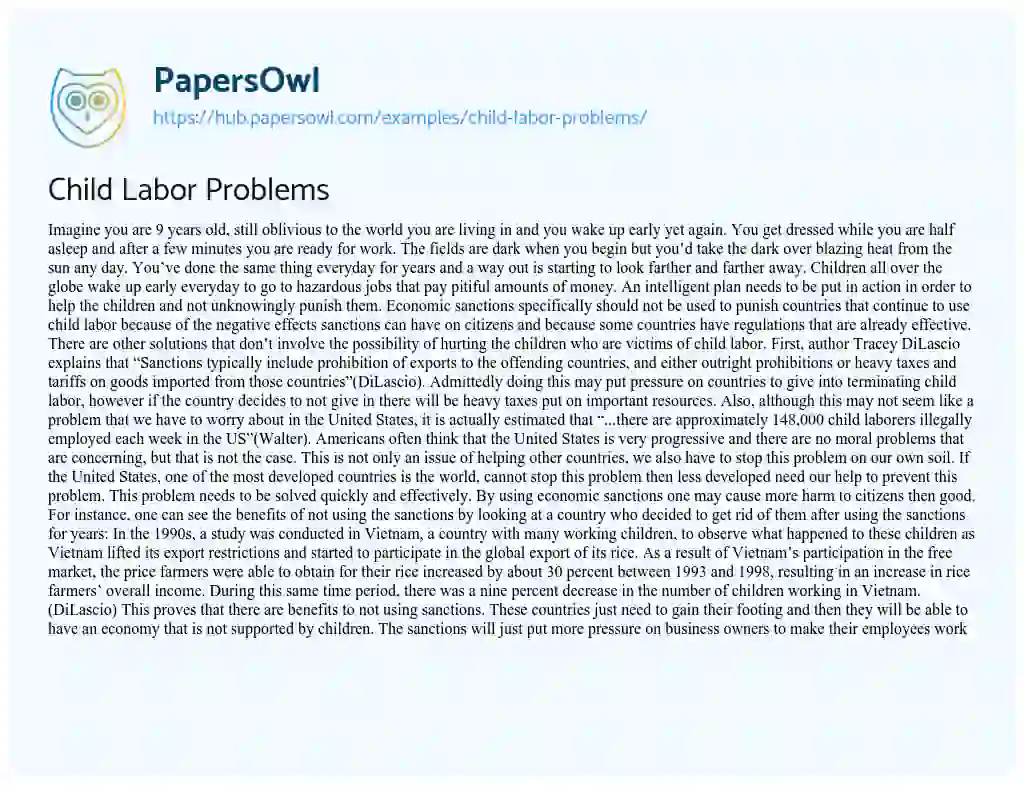 Essay on Child Labor Problems