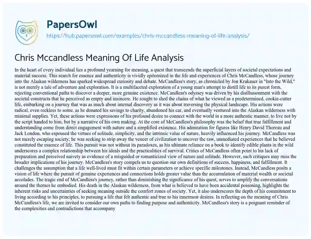 Essay on Chris Mccandless Meaning Of Life Analysis