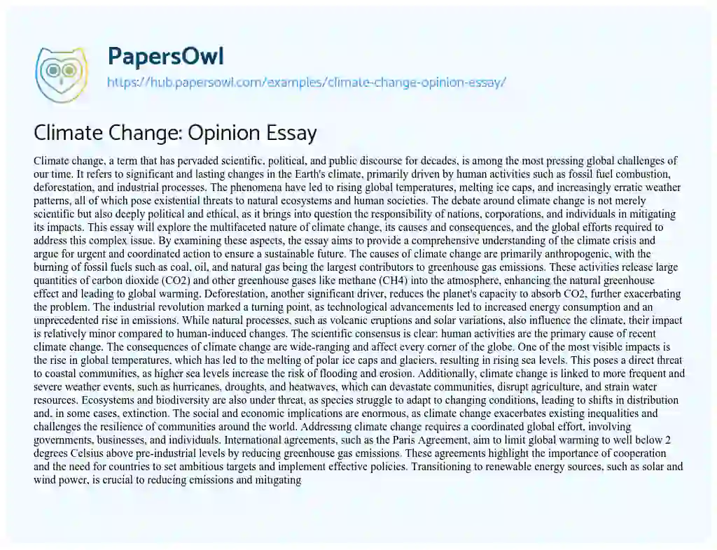 Essay on Climate Change: Opinion Essay