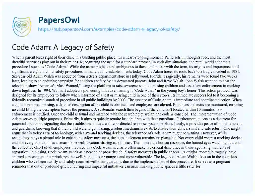 Essay on Code Adam: A Legacy of Safety