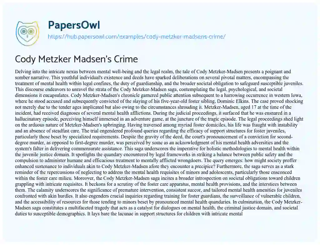 Essay on Cody Metzker Madsen’s Crime