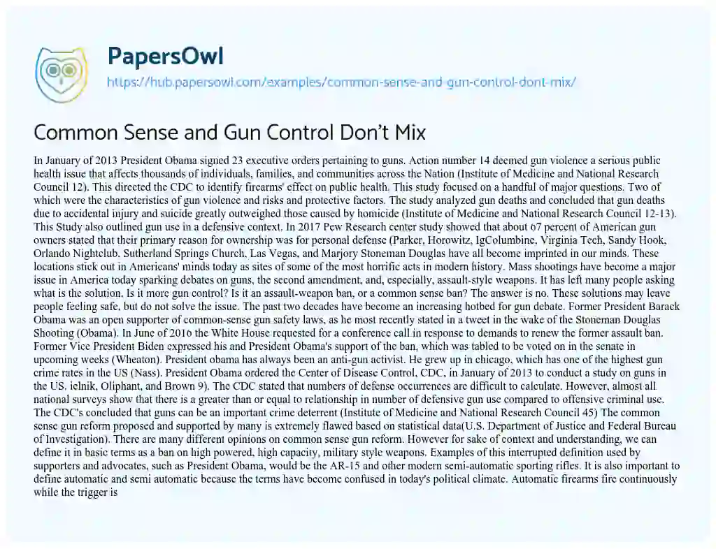 Essay on Common Sense and Gun Control Don’t Mix