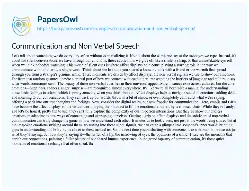Essay on Communication and Non Verbal Speech