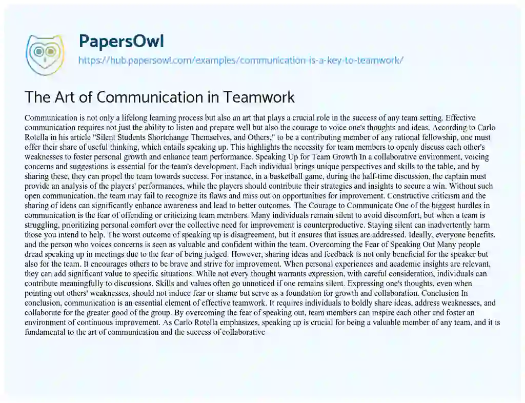 Essay on The Art of Communication in Teamwork