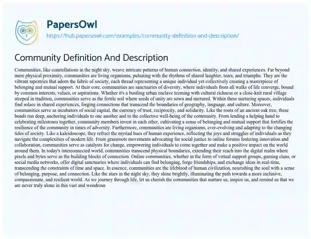 Essay on Community Definition And Description