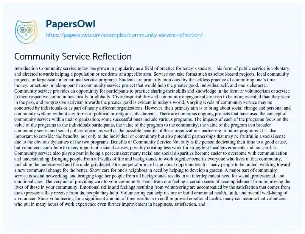 Essay on Community Service Reflection