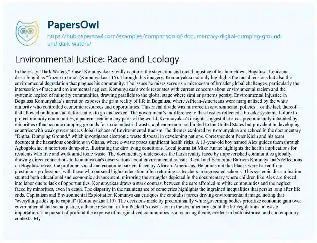 Essay on Environmental Justice: Race and Ecology