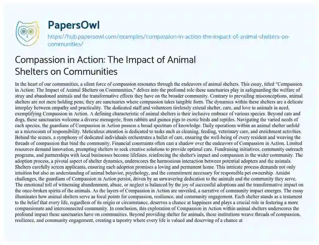 Essay on Compassion in Action: The Impact of Animal Shelters on Communities