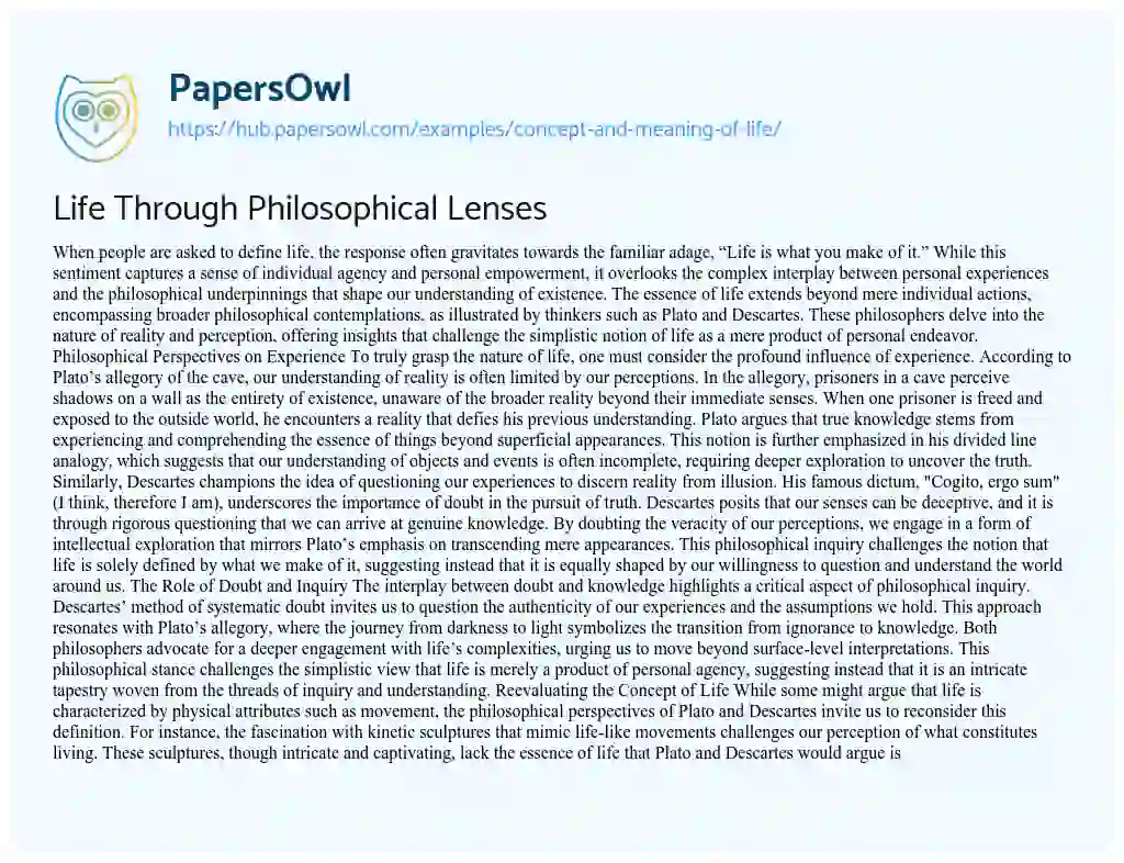 Essay on Life Through Philosophical Lenses