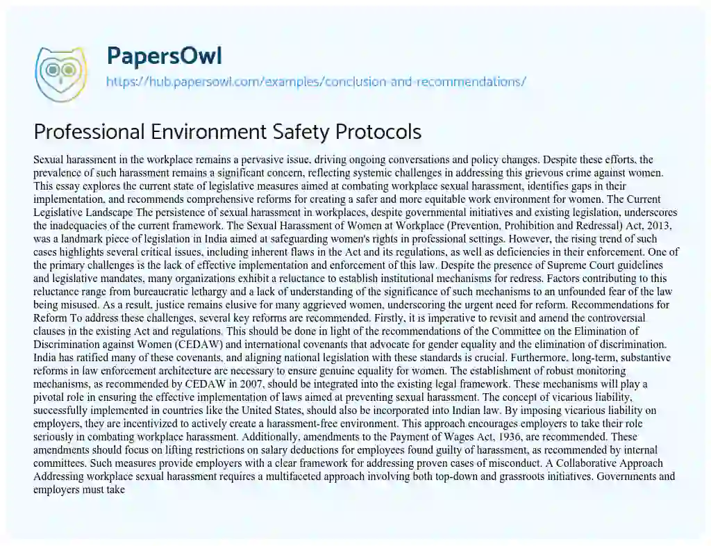 Essay on Professional Environment Safety Protocols