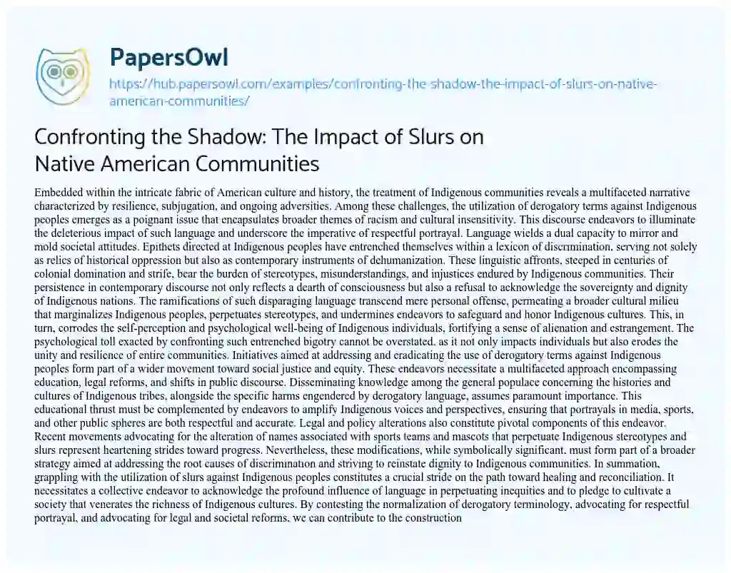 Essay on Confronting the Shadow: The Impact of Slurs on Native American Communities