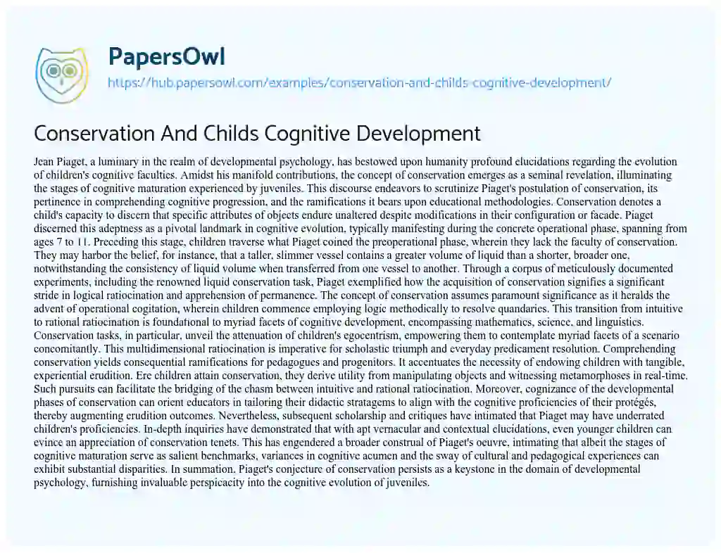 Essay on Conservation And Childs Cognitive Development