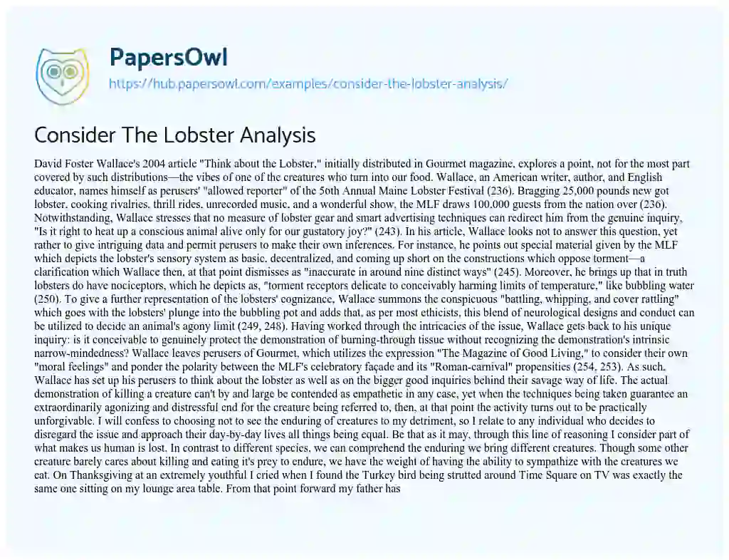 Essay on Consider The Lobster Analysis