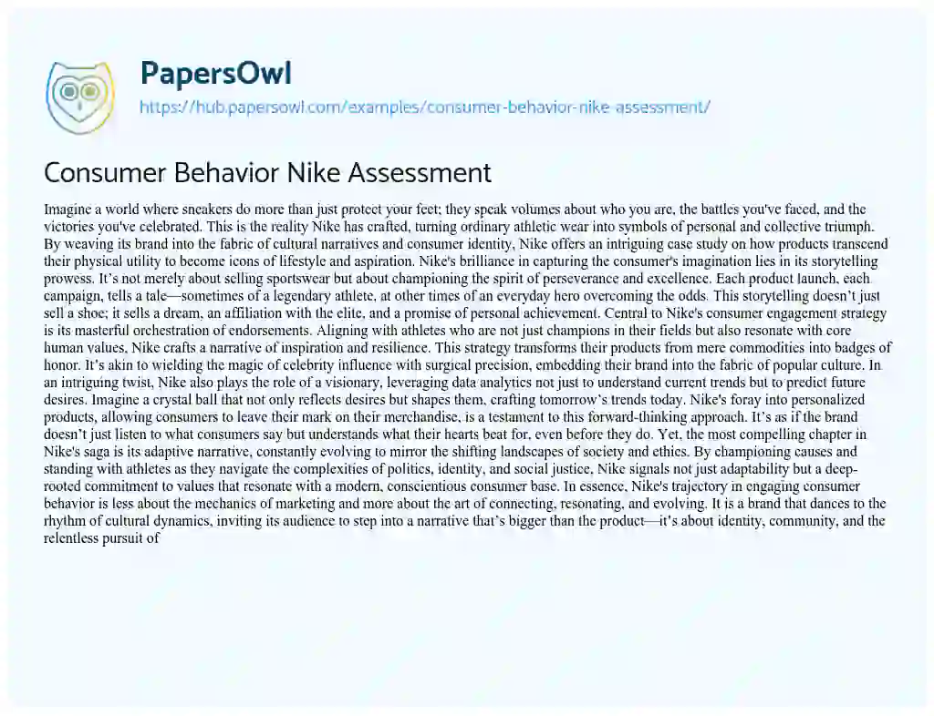 Essay on Consumer Behavior Nike Assessment