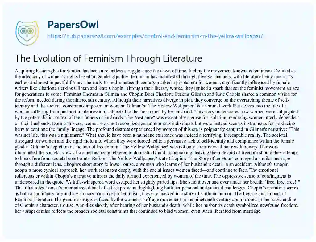 Essay on The Evolution of Feminism Through Literature