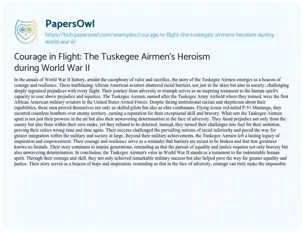 Essay on Courage in Flight: The Tuskegee Airmen’s Heroism during World War II