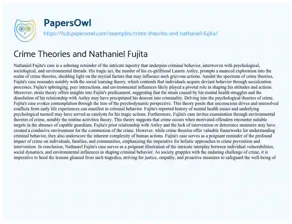 Essay on Crime Theories and Nathaniel Fujita