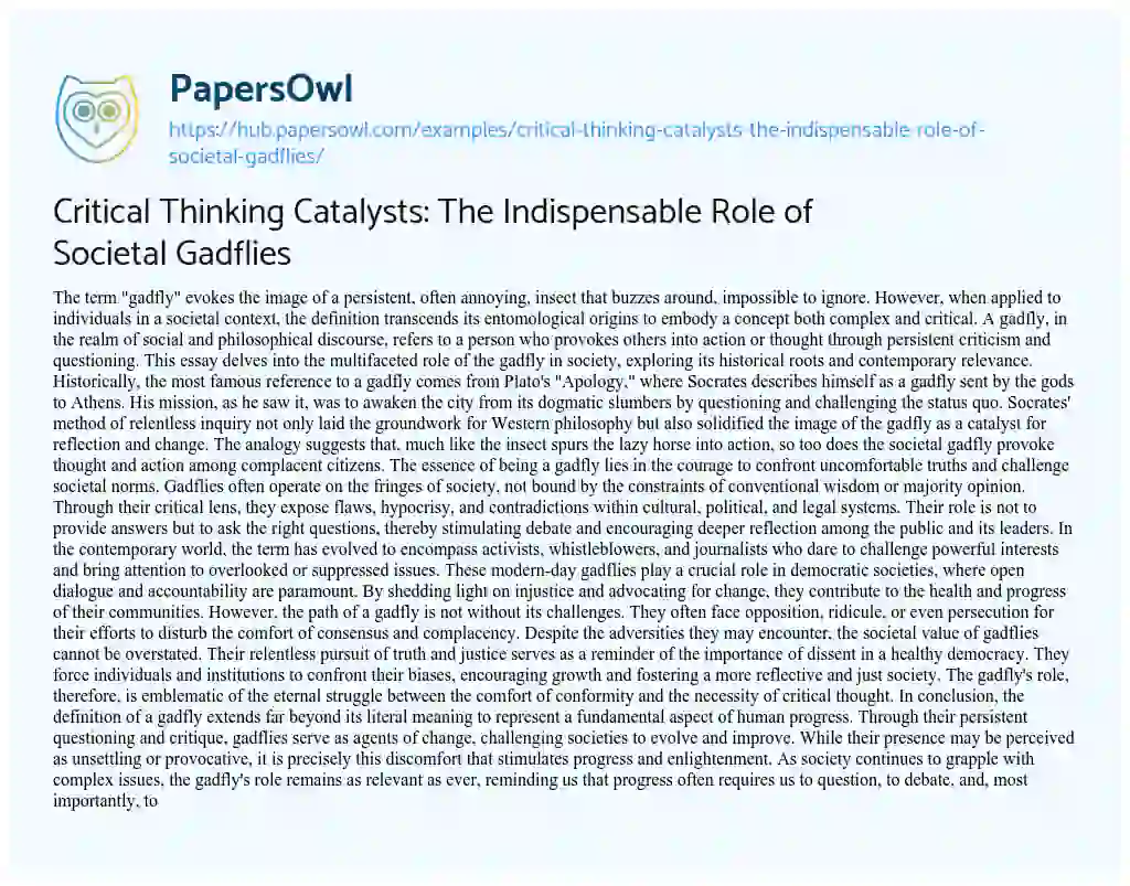 Essay on Critical Thinking Catalysts: The Indispensable Role of Societal Gadflies