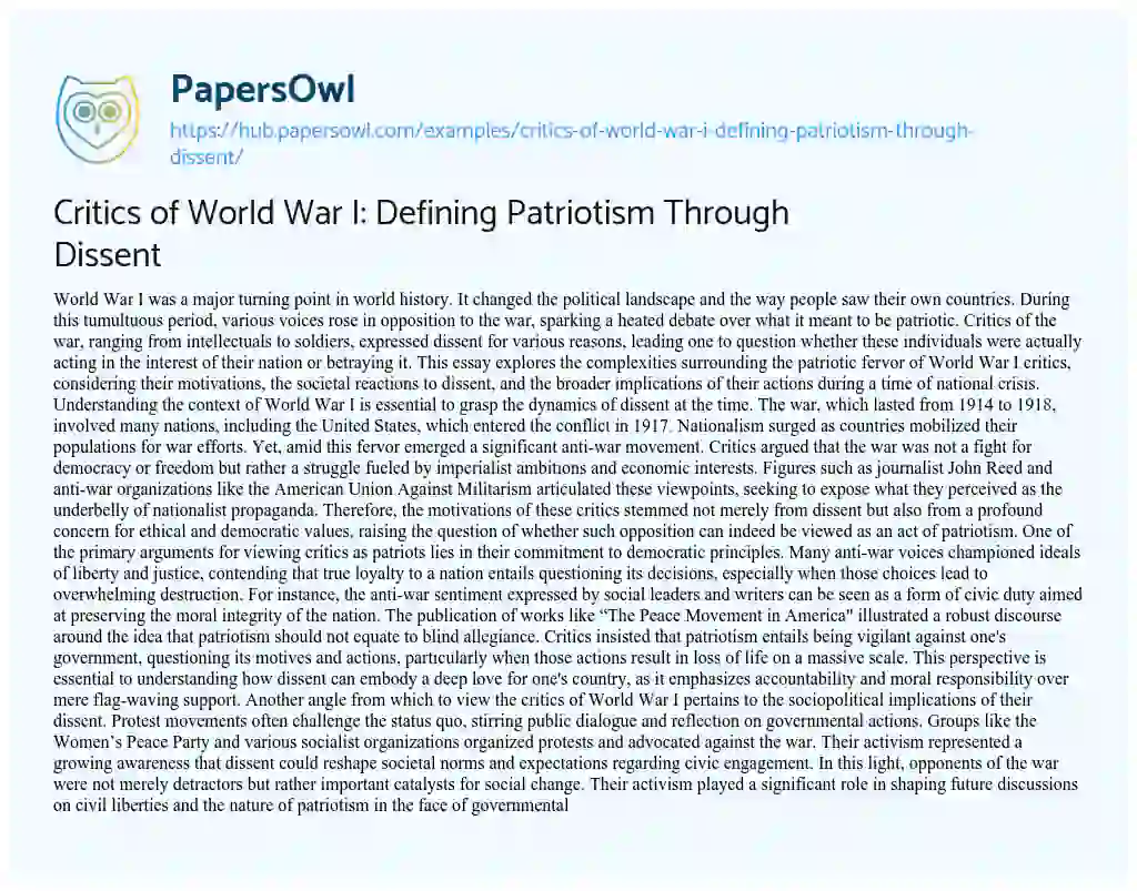 Essay on Critics of World War I: Defining Patriotism Through Dissent