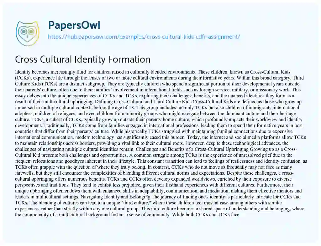 Essay on Cross Cultural Identity Formation