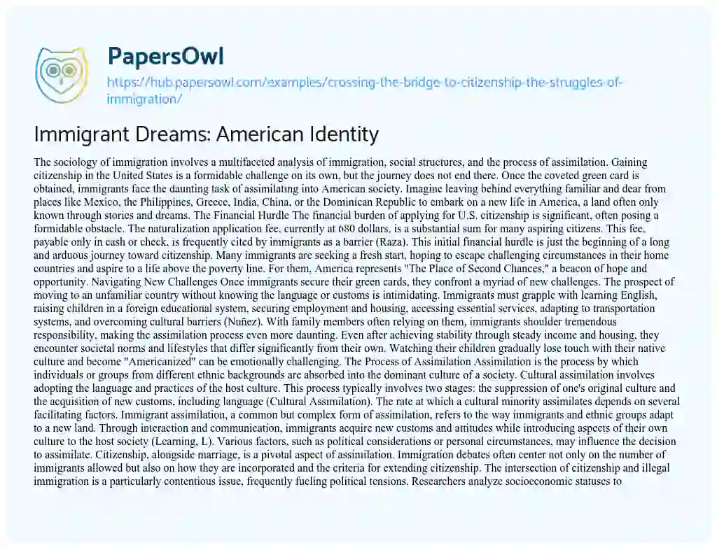 Essay on Immigrant Dreams: American Identity