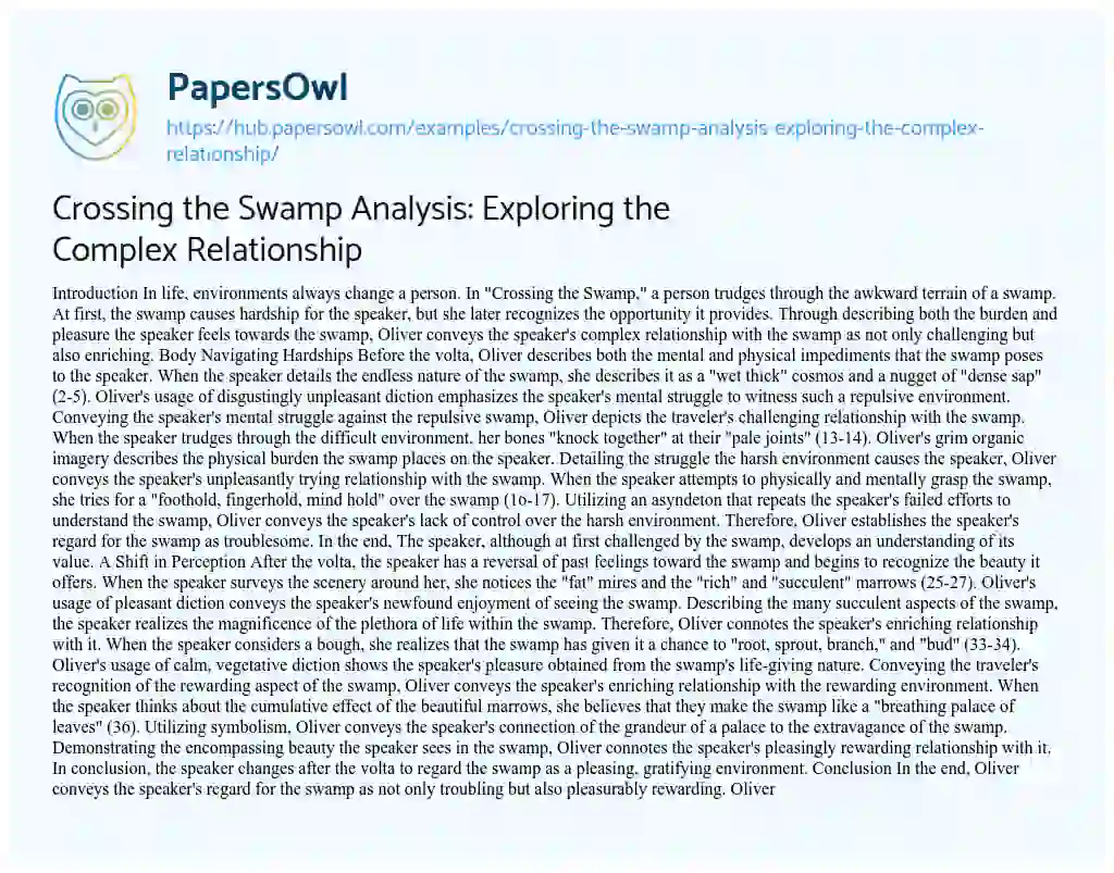 Essay on Crossing the Swamp Analysis: Exploring the Complex Relationship