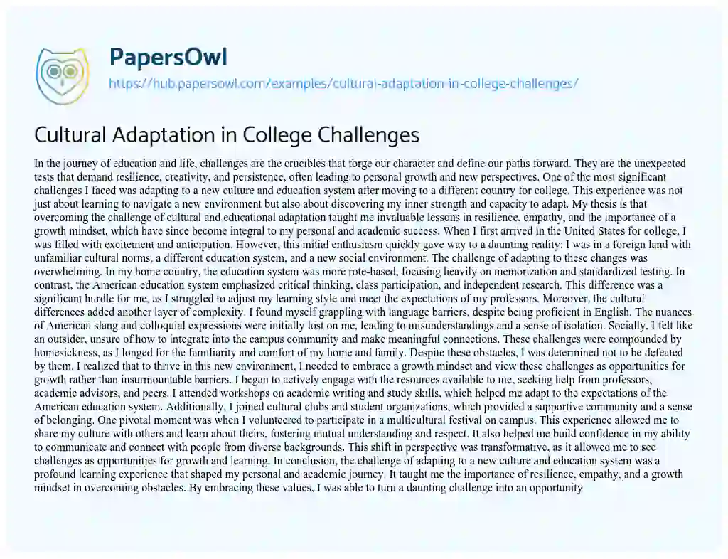 Essay on Cultural Adaptation in College Challenges