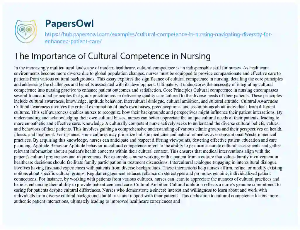 Essay on The Importance of Cultural Competence in Nursing