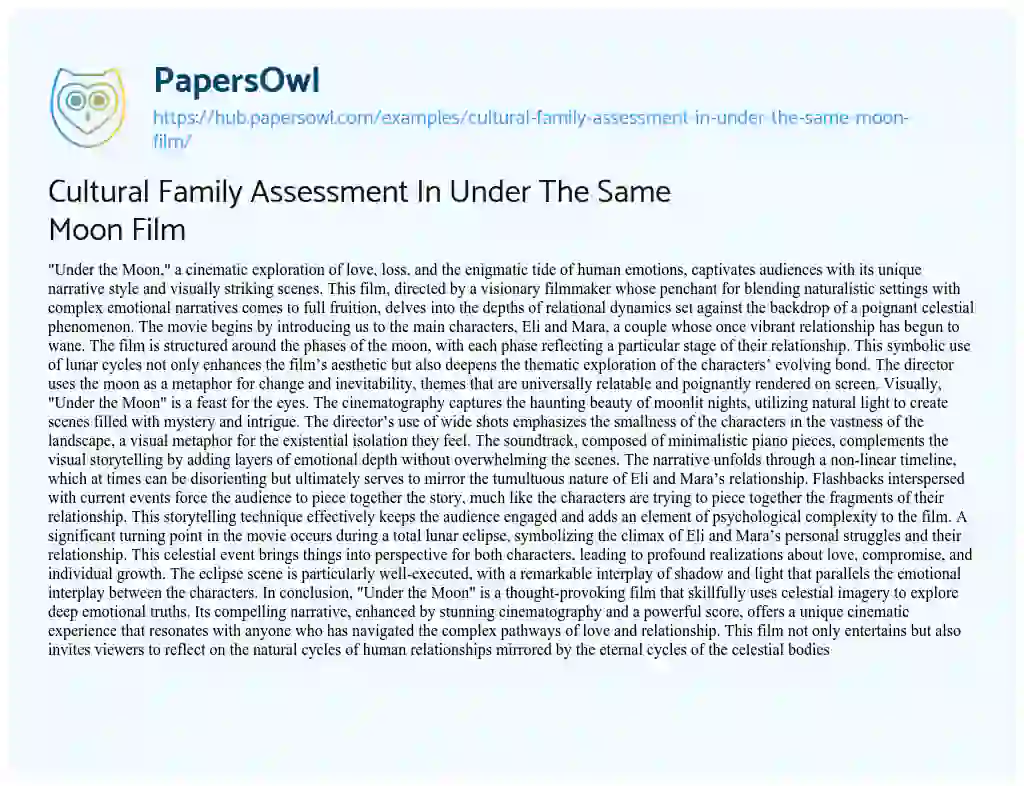 Essay on Cultural Family Assessment In Under The Same Moon Film