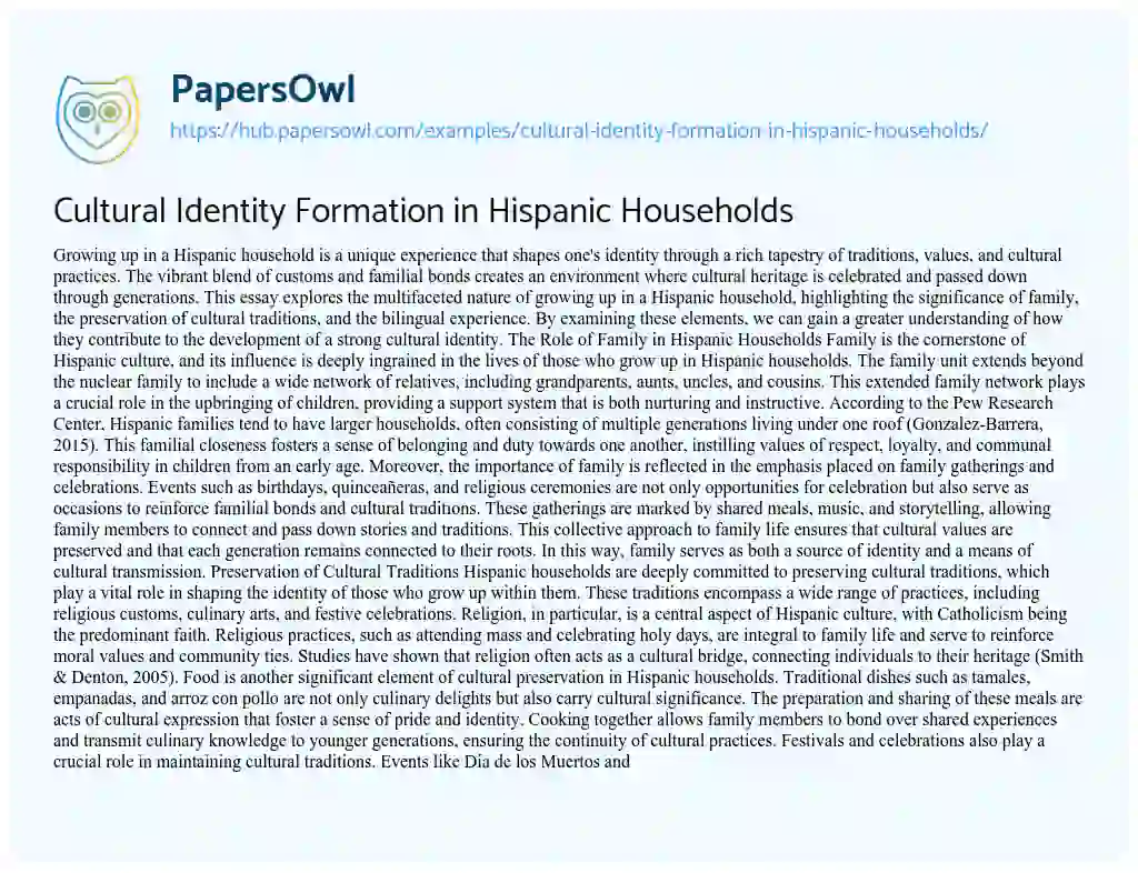 Essay on Cultural Identity Formation in Hispanic Households