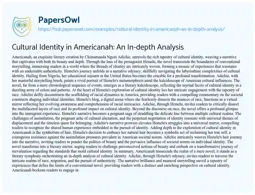 Essay on Cultural Identity in Americanah: An In-depth Analysis