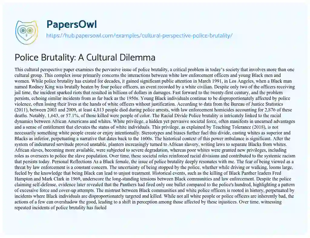Essay on Police Brutality: A Cultural Dilemma