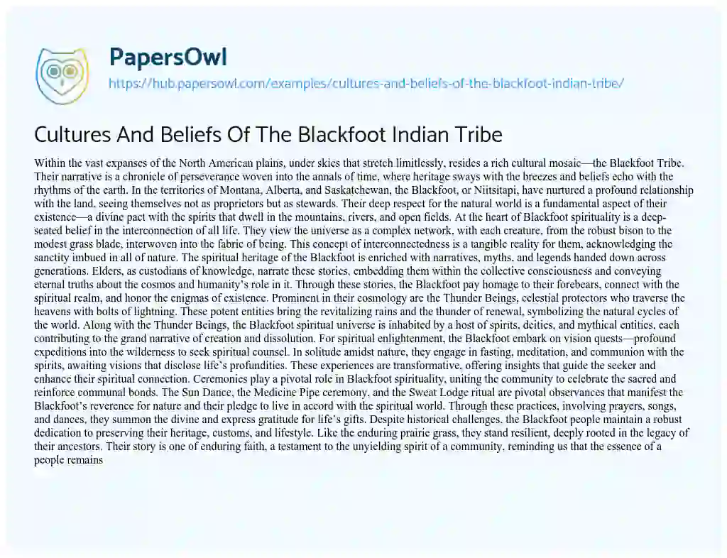 Essay on Cultures And Beliefs Of The Blackfoot Indian Tribe
