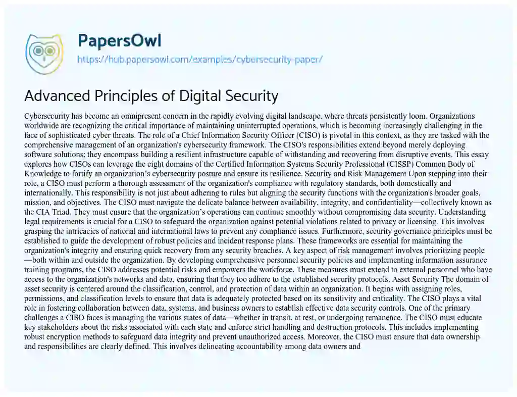 Essay on Advanced Principles of Digital Security