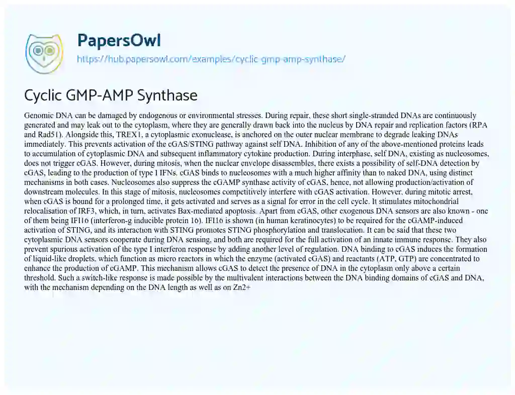 Essay on Cyclic GMP-AMP Synthase