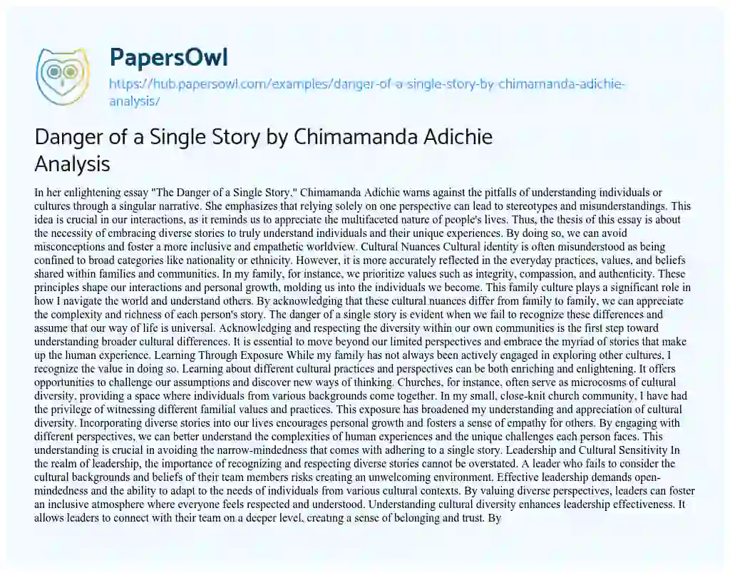 Essay on Danger of a Single Story by Chimamanda Adichie Analysis