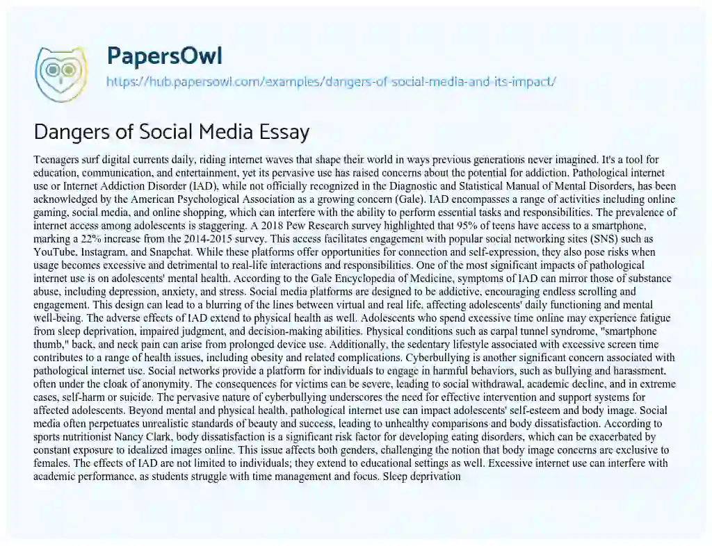 Essay on Dangers of Social Media Essay