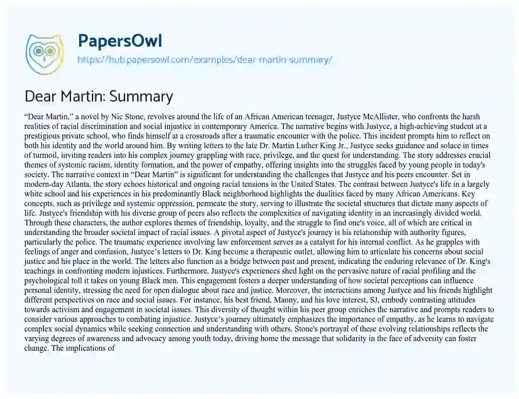 Essay on Dear Martin: Summary