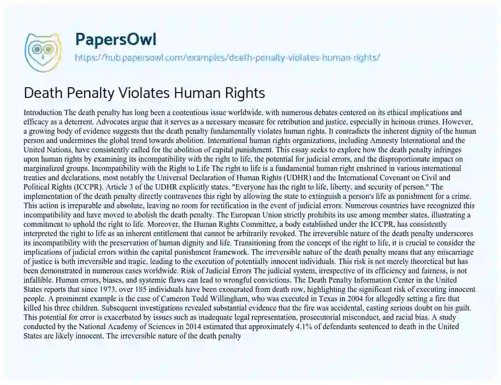 Essay on Death Penalty Violates Human Rights