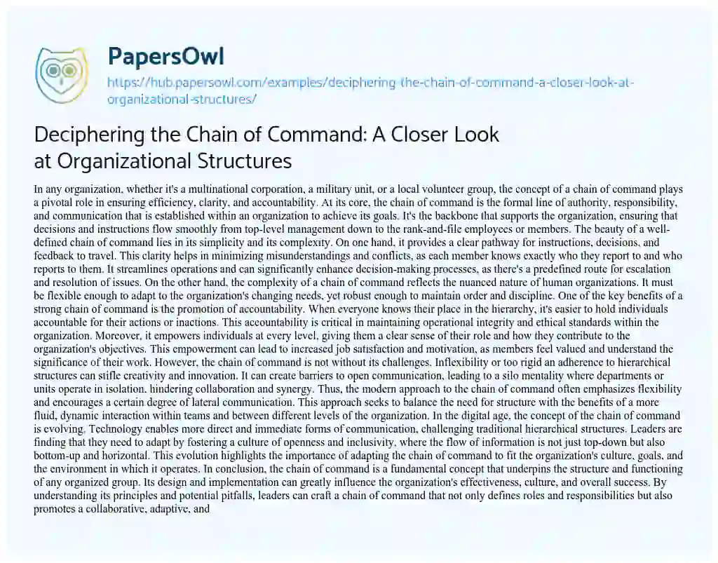Essay on Deciphering the Chain of Command: A Closer Look at Organizational Structures