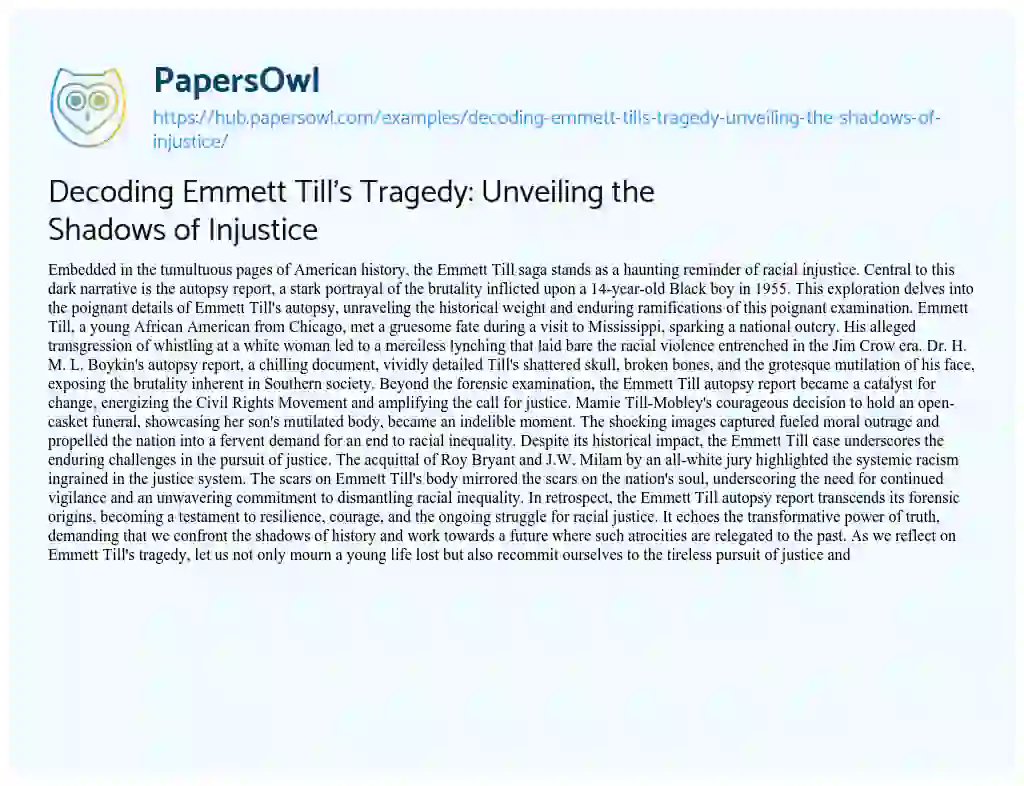 Essay on Decoding Emmett Till’s Tragedy: Unveiling the Shadows of Injustice